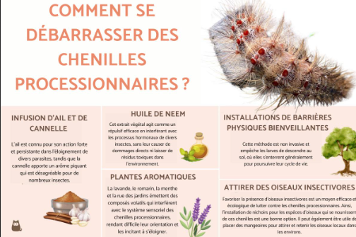 Chenilles processionnaires