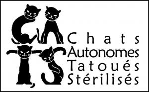 logo cats_1